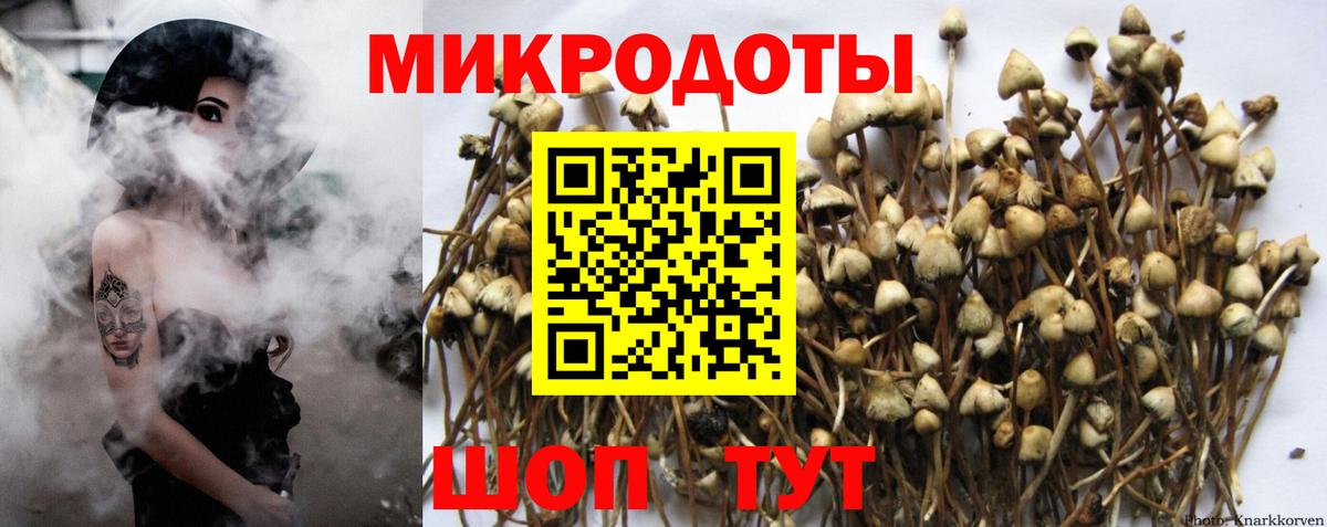 что такое   Вход с VPN  Ижевск  Галлюциногенные грибы мухоморы 