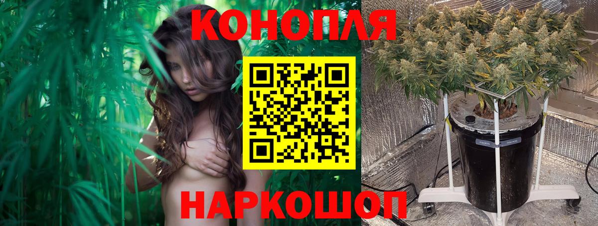 Ижевск  Бошки марихуана THC 21%  МАРИХУАНА VHQ  Вход с VPN 
